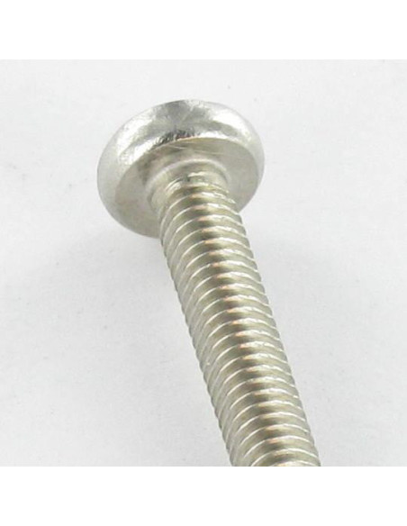 1 x Vis autotaraudeuse Tête cylindrique bombée TCB M5X12 Pozi N°2 Inox A2