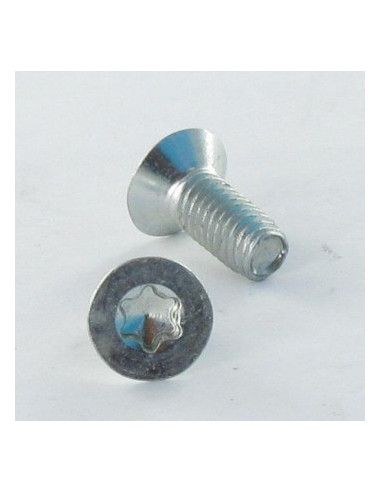 1 x Vis autotaraudeuse Tête fraisée TORX T10...