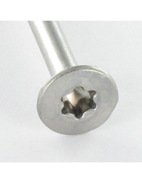 1 x Vis autoperceuse Bimétal Tête fraisée TORX T25 Foret Long 5.5X60