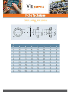 Anneau SELF LOCKING Diamètre 20 Acier brut 2