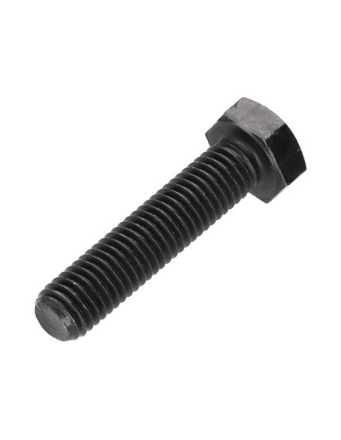 1 x Vis métaux Tête hexagonale TH M10X45 Classe...