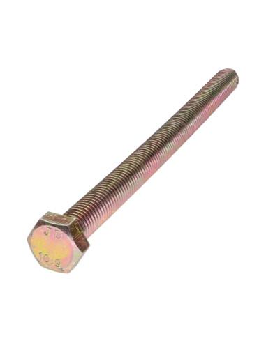 1 x Vis métaux Tête hexagonale TH M12X170...