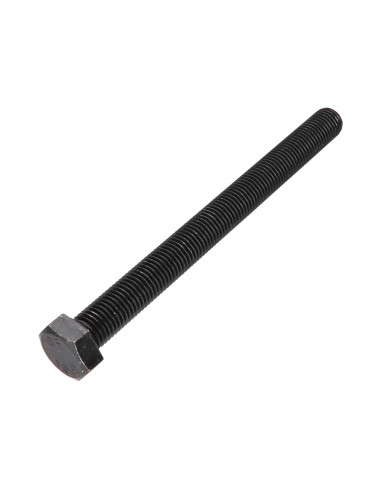 1 x Vis métaux Tête hexagonale TH 16X180 Classe...