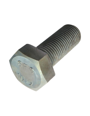 1 x Vis métaux Tête hexagonale TH M39X100...