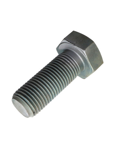 1 x Vis métaux Tête hexagonale TH M39X100...