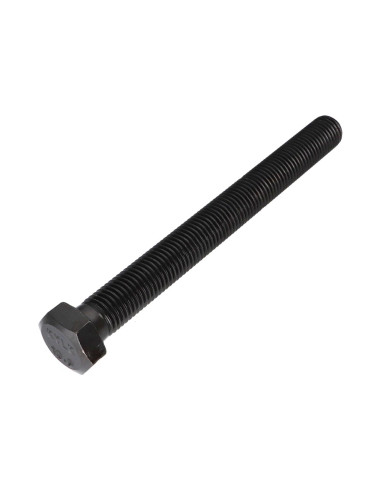 1 x Vis métaux Tête hexagonale TH M20X200...