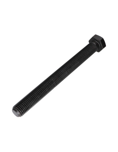1 x Vis métaux Tête hexagonale TH M20X200...