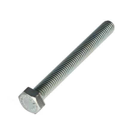 1 x Vis métaux Tête hexagonale TH M10X80 Classe 10.9 Acier zingué