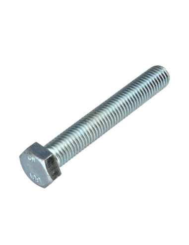 1 x Vis métaux Tête hexagonale TH M14X80 Classe...