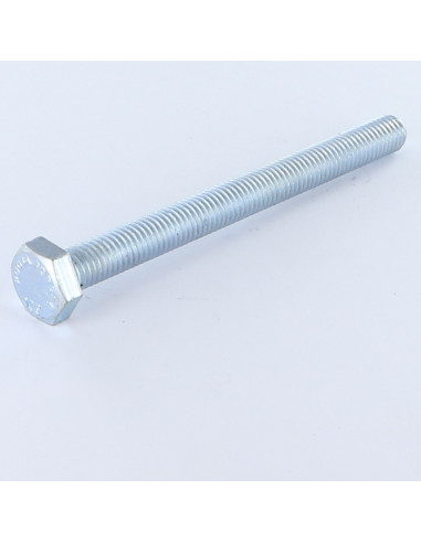 1 x Vis métaux Tête hexagonale TH M12X100...