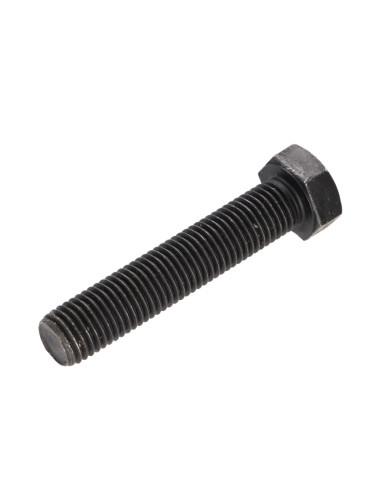 1 x Vis métaux Tête hexagonale TH M20X80 Classe...