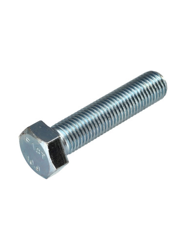 1 x Vis métaux Tête hexagonale TH M16X55 Classe...
