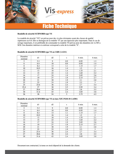 1 x Rondelle SCHNORR VS M5X9X1.3 414600 Acier...