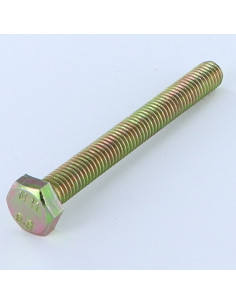 Vis métaux Tête hexagonale TH M6X60 Classe 8.8 Bichromaté