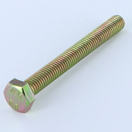 1 x Vis métaux Tête hexagonale TH M6X60 Classe 8.8 Bichromaté