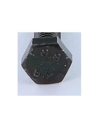 1 x Vis métaux Tête hexagonale TH M10X30 Classe...