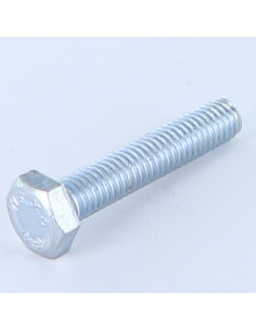 Vis métaux Tête hexagonale TH M10X45 Classe 8.8 Acier zingué