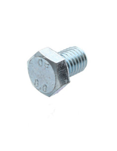 Vis métaux Tête hexagonale TH M12X25 Classe 8.8 Acier zingué