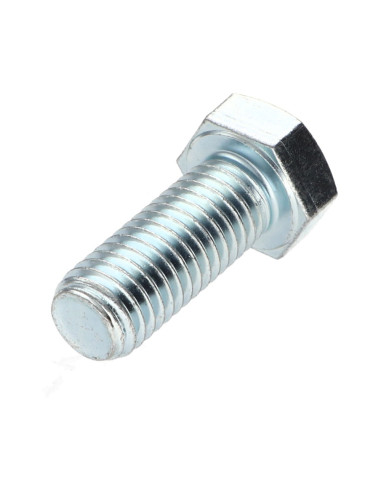 1 x Vis métaux Tête hexagonale TH M12X30 Classe...