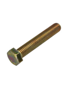 Vis métaux Tête hexagonale TH M12X70 Classe 8.8 Bichromaté