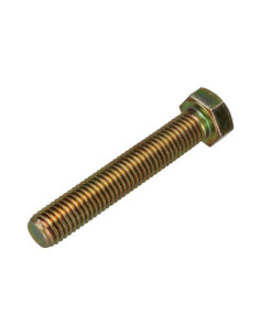 Vis métaux Tête hexagonale TH M12X70 Classe 8.8 Bichromaté 2