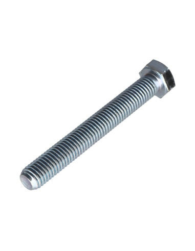 1 x Vis métaux Tête hexagonale TH M12X90 Classe...