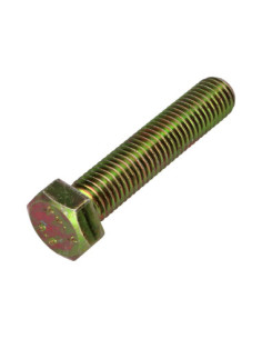 Vis métaux Tête hexagonale TH M14X60 Classe 8.8 Bichromaté