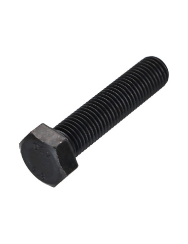 1 x Vis métaux Tête hexagonale TH M16X70 Classe...