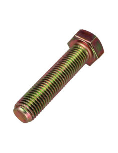 Vis métaux Tête hexagonale TH M16X70 Classe 8.8 Bichromaté 2