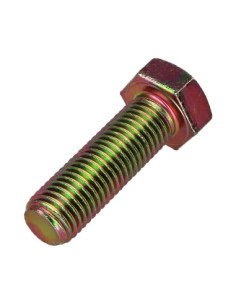 Vis métaux Tête hexagonale TH M18X45 Classe 8.8 Bichromaté 2