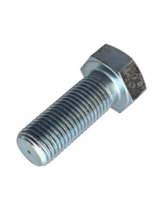 Vis métaux Tête hexagonale TH M27X70 Classe 8.8 Acier zingué 2