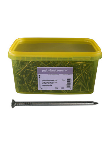 1 x Seau de 5 KG De Pointes Tête plate Acier...