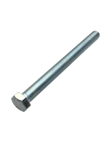 1 x Vis métaux Tête hexagonale TH M20X200...