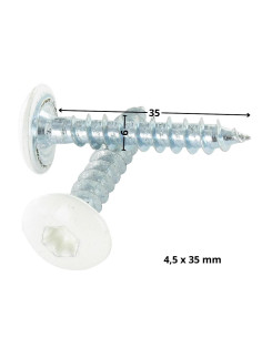 Vis Penture 6X35 Filetage partiel TORX T30 Acier zingué... 2