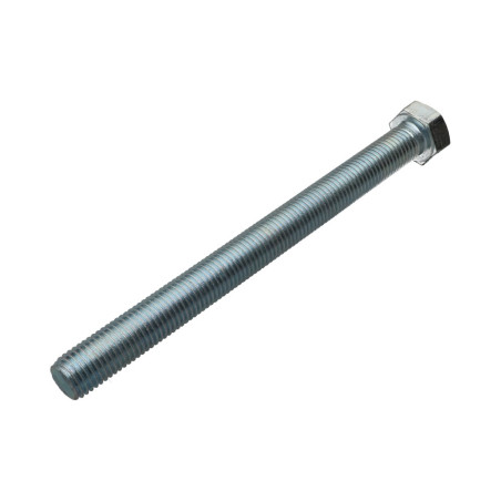 1 x Vis métaux Tête hexagonale TH M20X200 Classe 8.8 Acier zingué