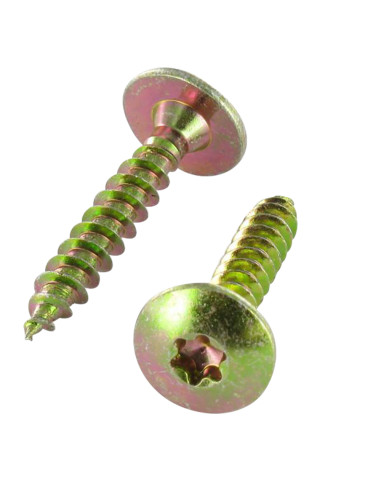 1 x Vis Penture 6X20 Filetage total TORX T30...