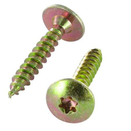 1 x Vis Penture 6X20 Filetage total TORX T30 Bichromaté