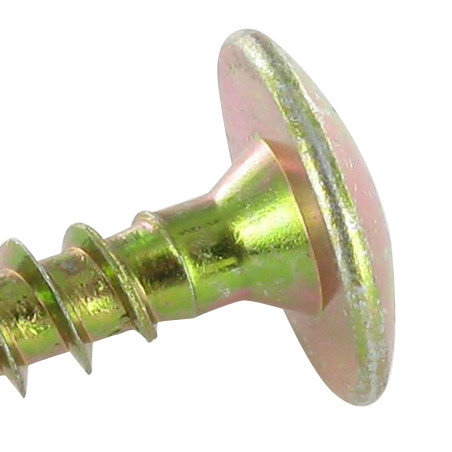 1 x Vis Penture 6X20 Filetage total TORX T30 Bichromaté