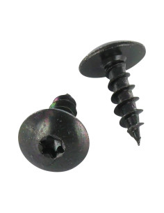 Vis Penture 6X45 Filetage partiel TORX T30 Acier zingué noir