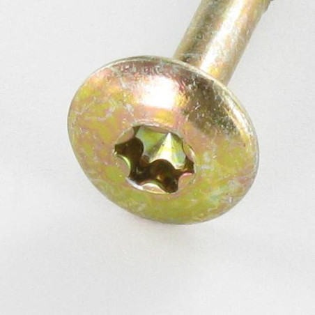 1 x Vis Penture 7X45 Filetée sur 23 TORX T30 Bichromaté