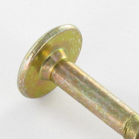 1 x Vis Penture 7X45 Filetée sur 23 TORX T30 Bichromaté