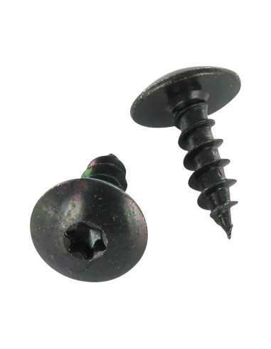 1 x Vis Penture 5X25 Filetage total TORX T20...