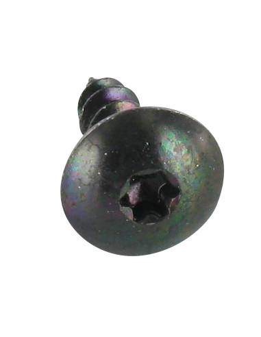 1 x Vis Penture 5X25 Filetage total TORX T20...