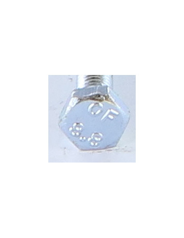 1 x Vis métaux Tête hexagonale TH M10X55 Classe...
