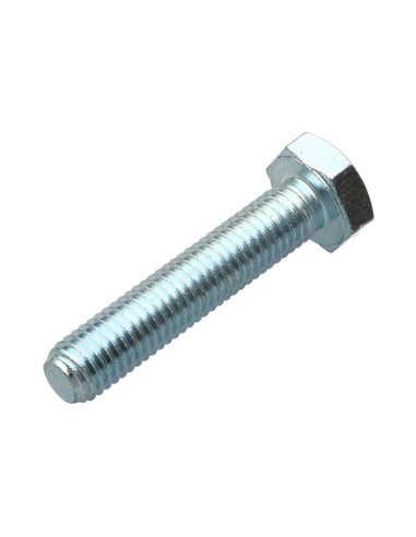 1 x Vis métaux Tête hexagonale TH M10X55 Classe...