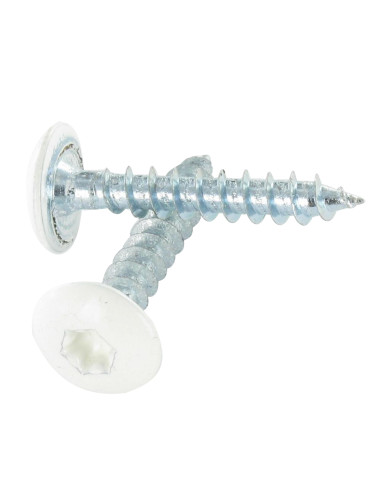 1 x Vis Penture 4.5X35 Filetage total TORX T20...