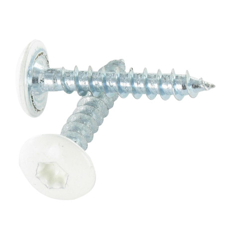 1 x Vis Penture 4.5X35 Filetage total TORX T20 Acier zingué RAL9010 blanc pur