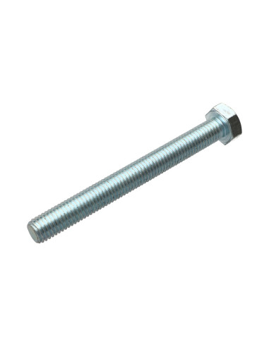 1 x Vis métaux Tête hexagonale TH M12X90 Classe...