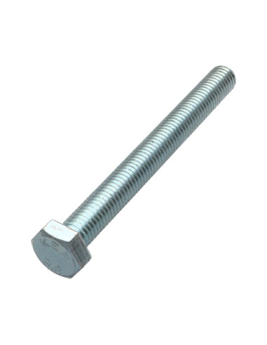 1 x Vis métaux Tête hexagonale TH M14X100...