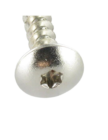 1 x Vis Penture 4.5X50 Filetage total TORX T20...